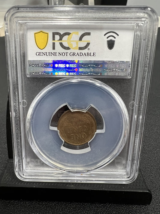 1909 S VDB Lincoln Wheat Cent PCGS Genuine Enviro Damage-VF Detail