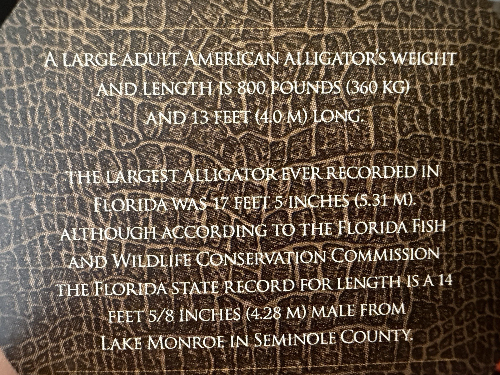 RARE NIUE 2012 FLORIDA ALLIGATOR GOLD GILDED PROOF SILVER 2500 MINTED COA & OGP