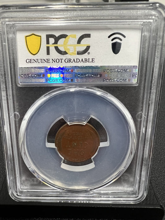 1922 D Lincoln Wheat Cent PCGS Genuine Enviro Damage-VF Detail