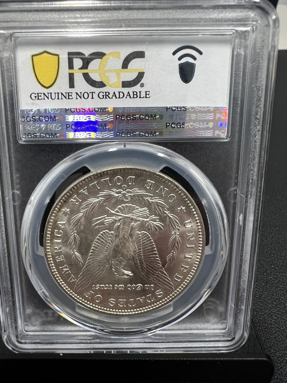 1900-O/CC Morgan Silver Dollar PCGS Genuine Tooled-UNC Detail